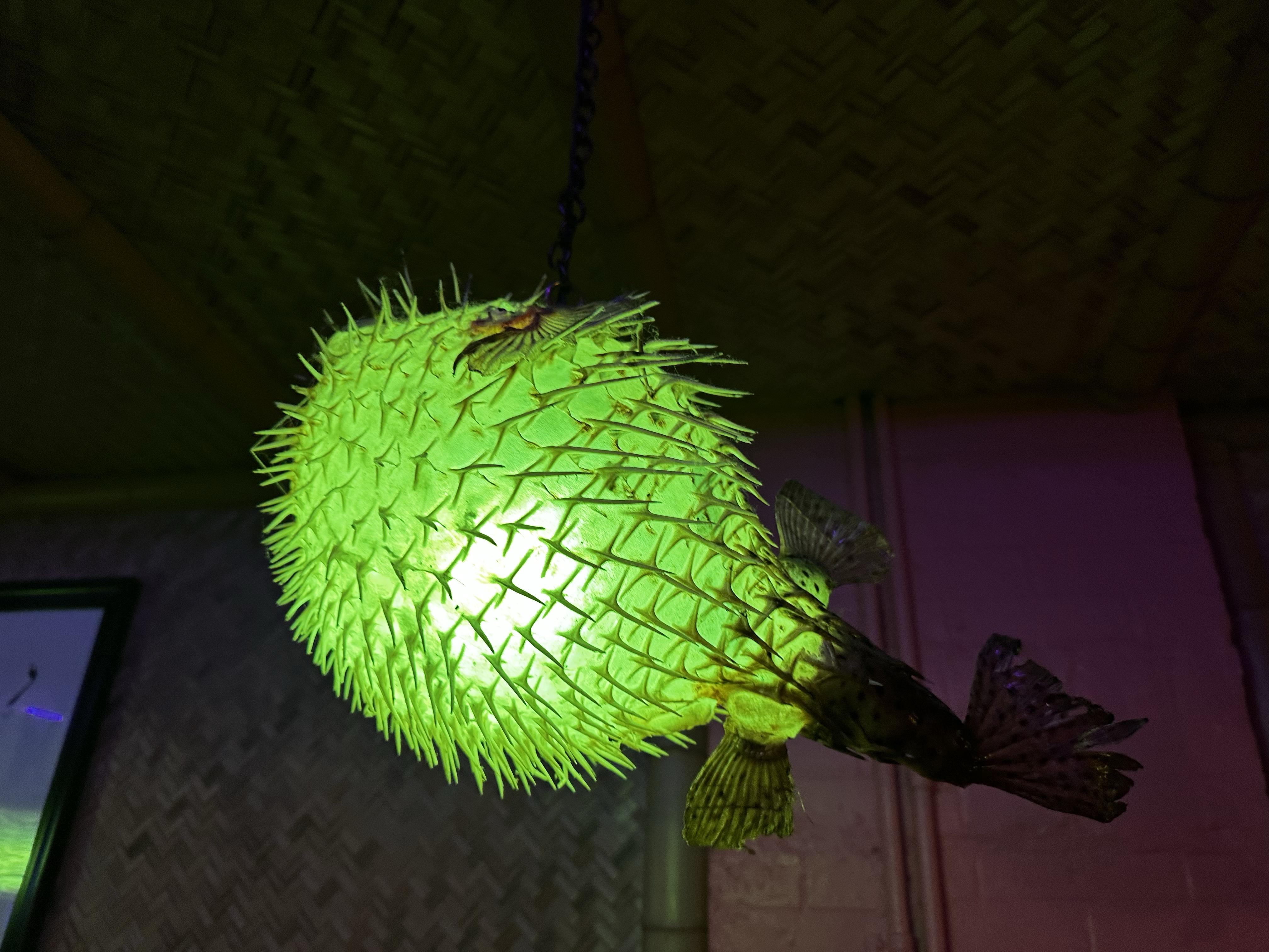 California COA Affirms Application of Sovereign Immunity in ...